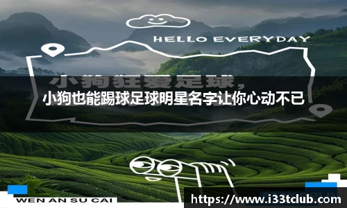 金年会金字招牌信誉至上